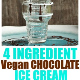 4 Ingredient Vegan Chocolate Ice Cream