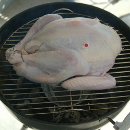 Cooking a turkey on a weber grill sale