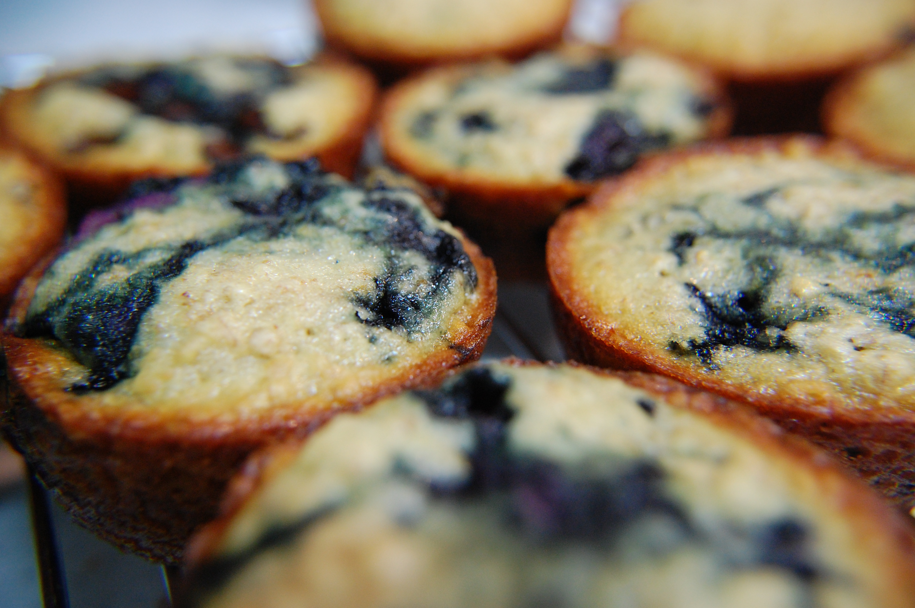Lowfat High Fiber Blueberry Bran Muffins