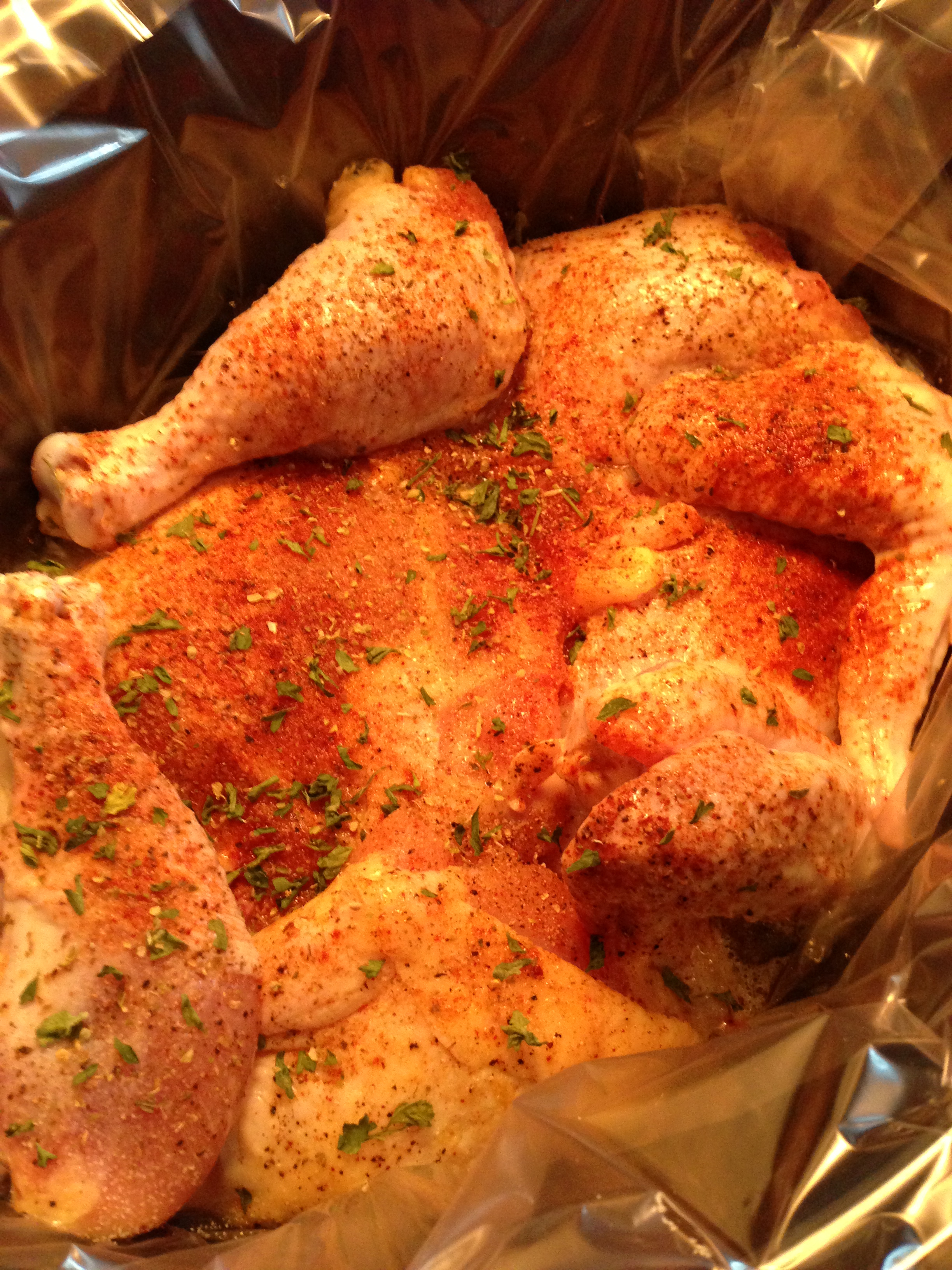 NINJA Crock Pot Beer Chicken