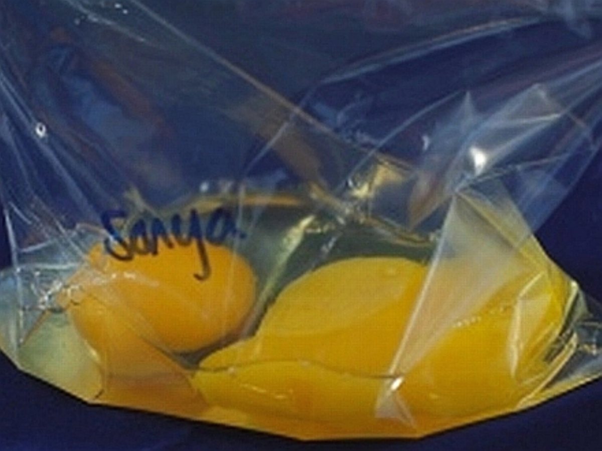 Ziploc Omelets
