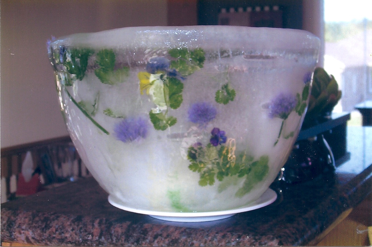 Ice Bowls