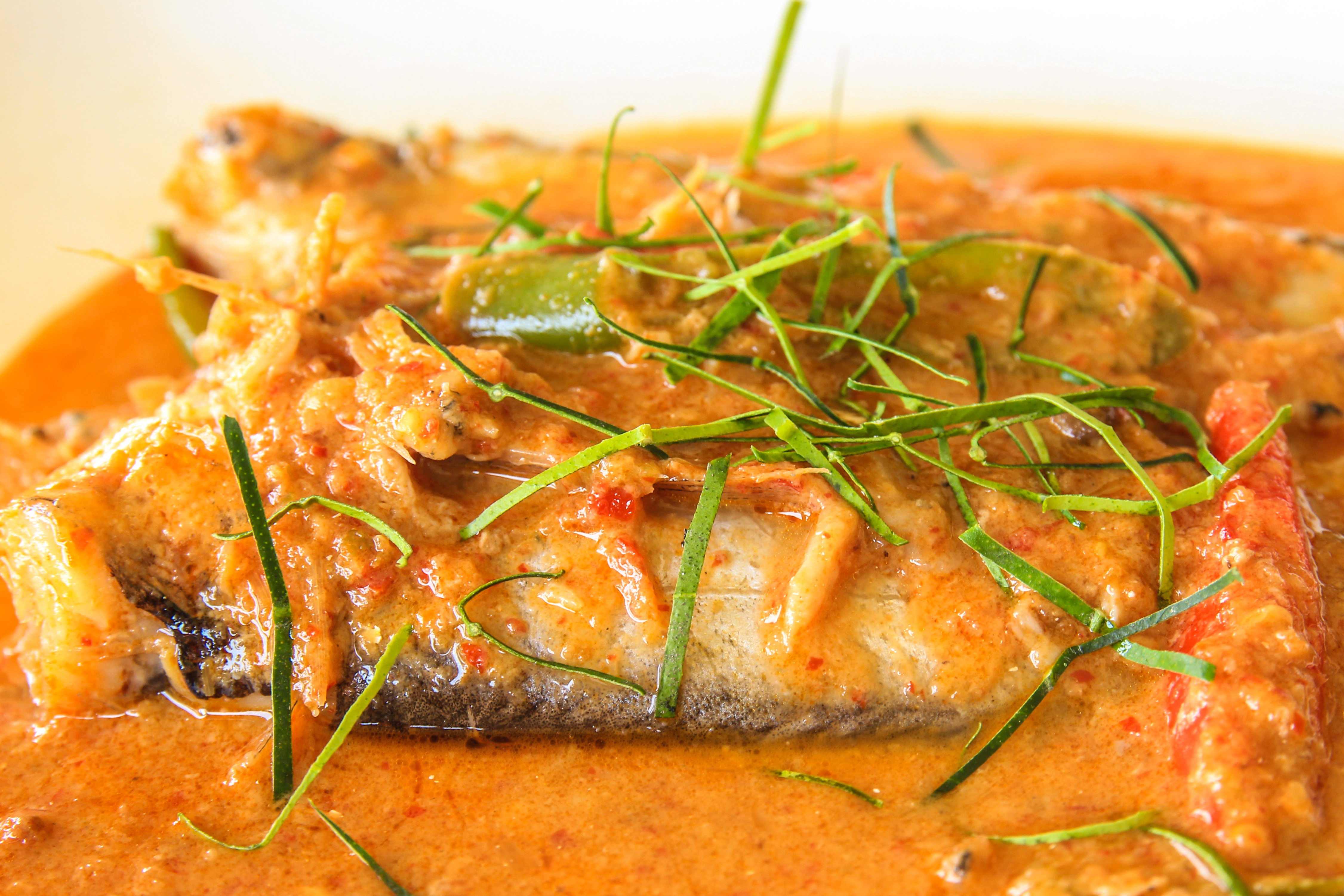 Fish with Red Curry Sauce 