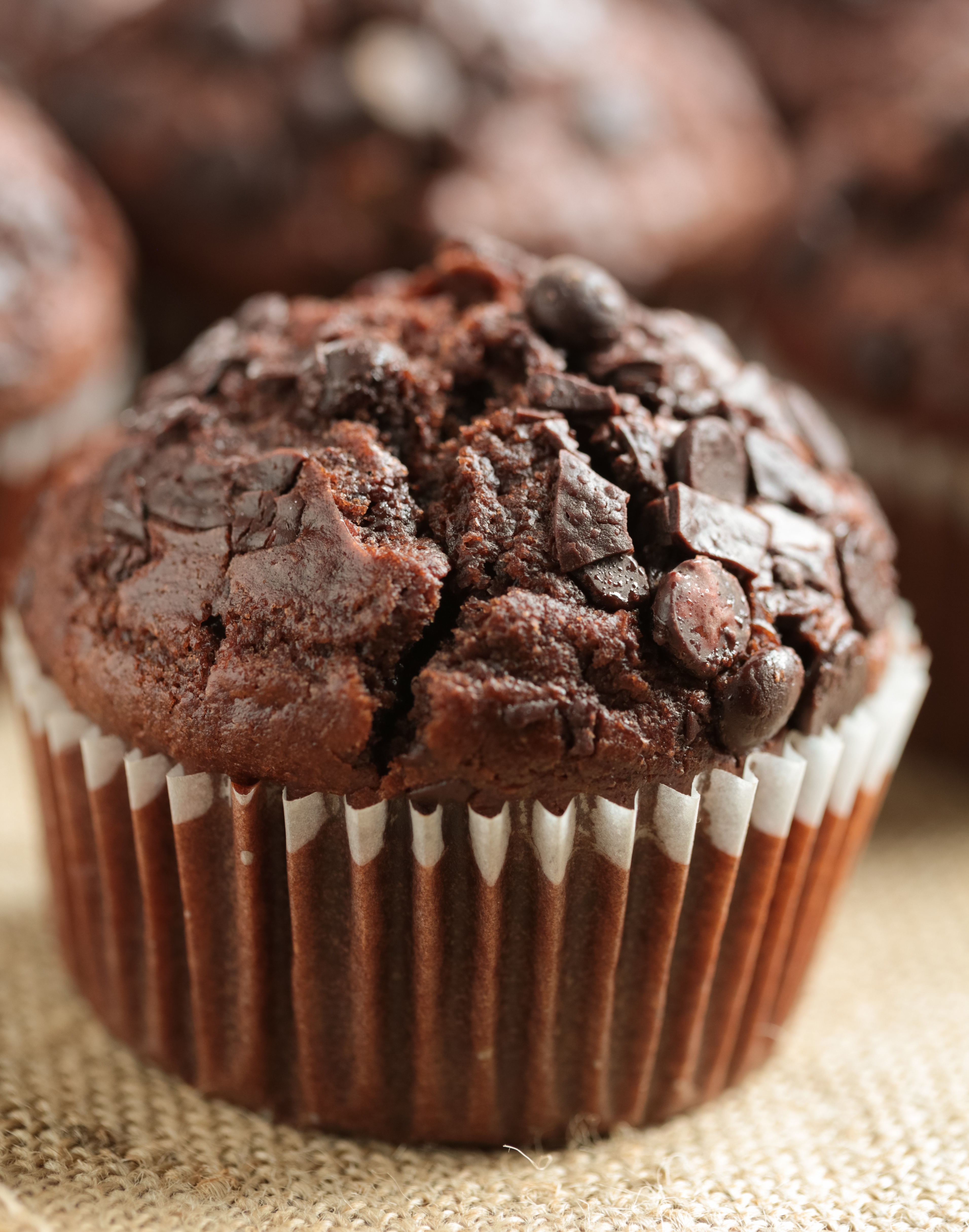 Double Chocolate Muffins