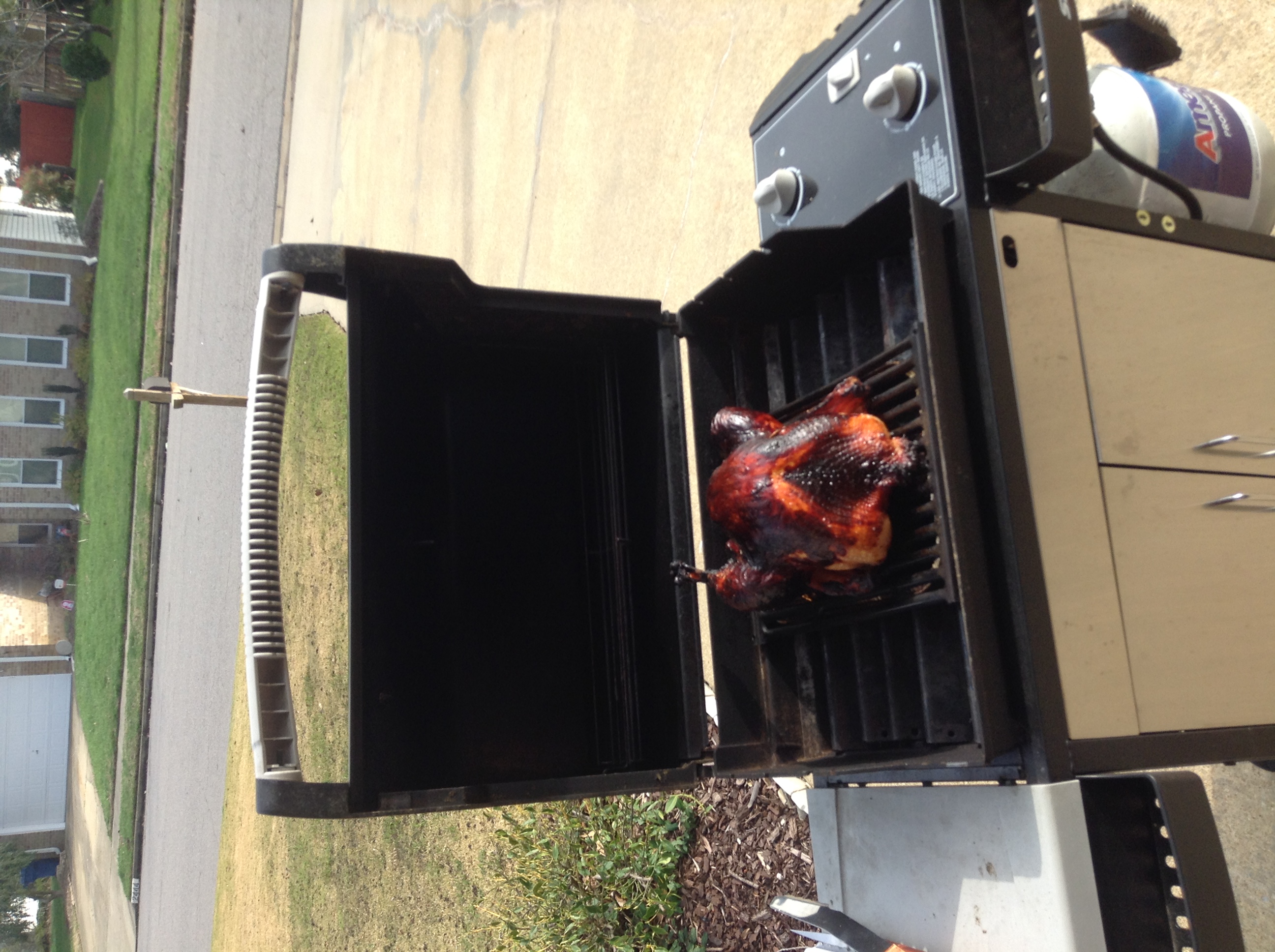 Gas Grilled 12 pound Turkey