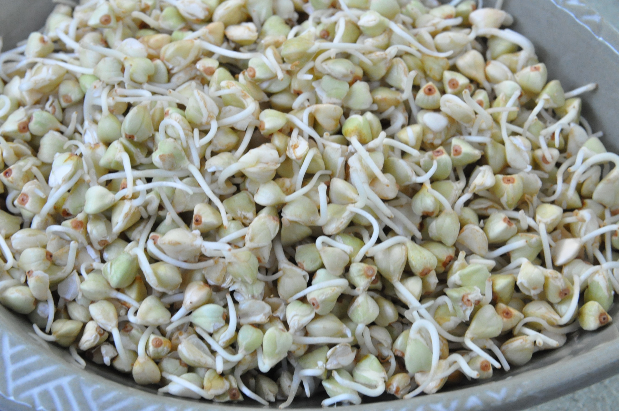 Sprouted Raw Buckwheat Porridge